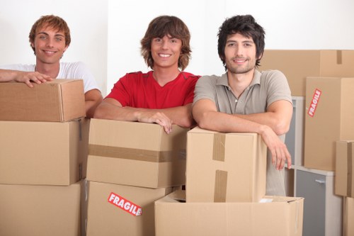 Careful packing supplies and furniture protection for a flat move