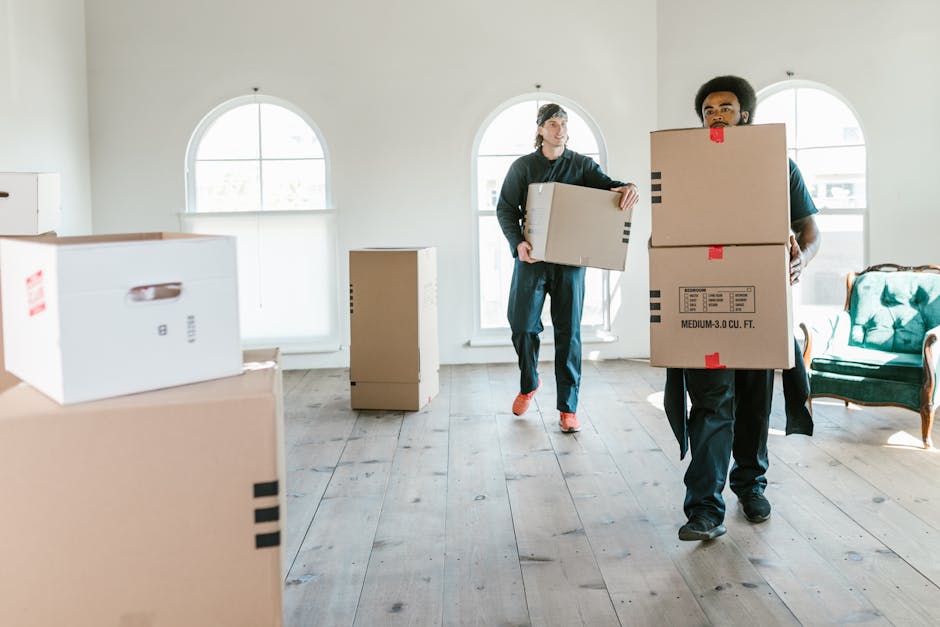 Two movers from West Kensington Removals are engaged in a home relocation process inside a well-lit room with white walls and wooden flooring. The first mover, positioned on the right, is carrying a l