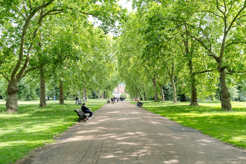 A tree-lined pathway with a wide, paved surface running through a park, bordered by lush green grass and mature trees with dense foliage forming a shaded canopy overhead. Several park benches are posi